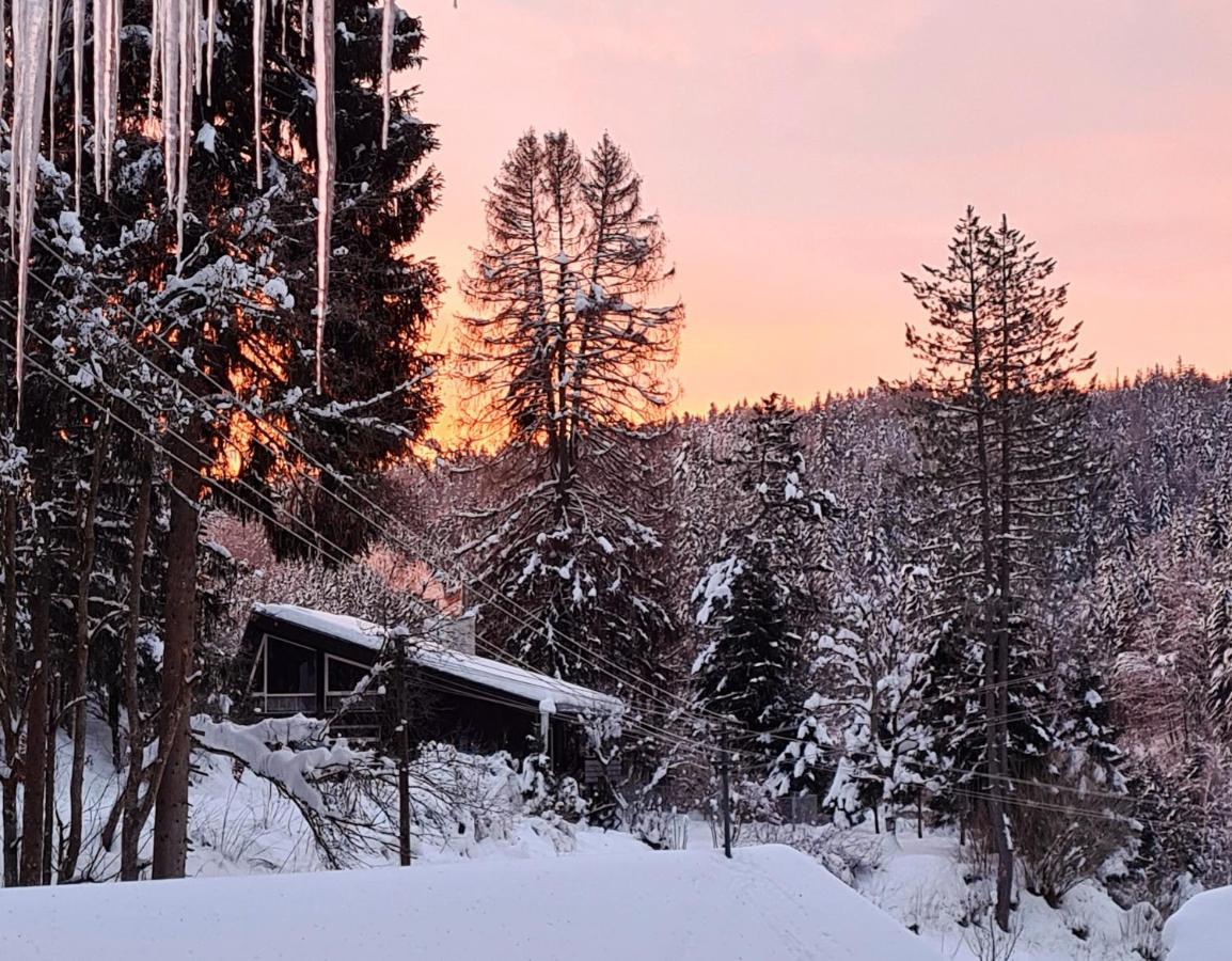 Waldblick Ferienwohnungen Bonndorf im Schwarzwald Exterior foto
