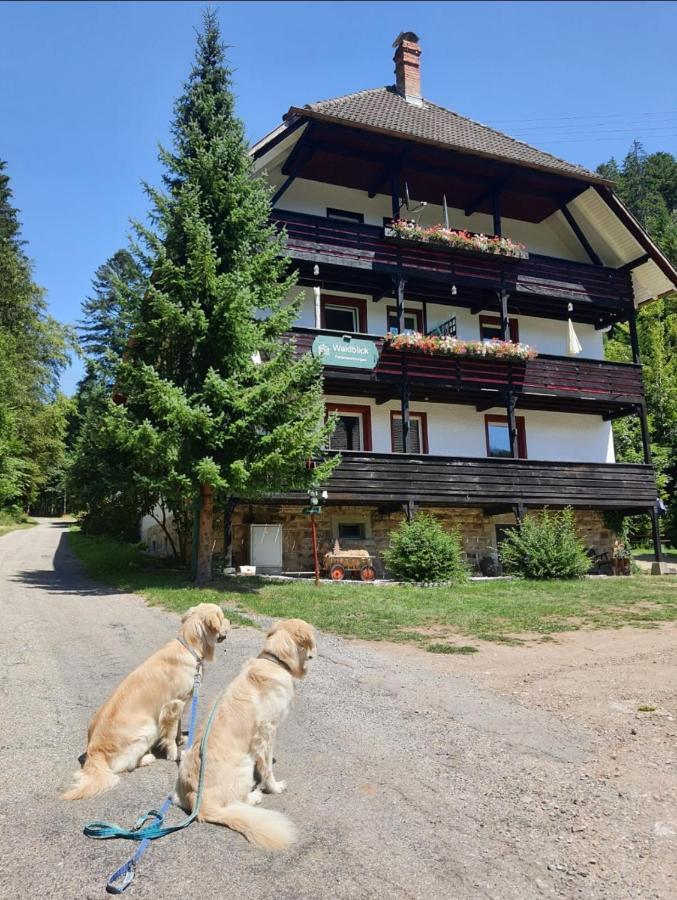 Waldblick Ferienwohnungen Bonndorf im Schwarzwald Exterior foto